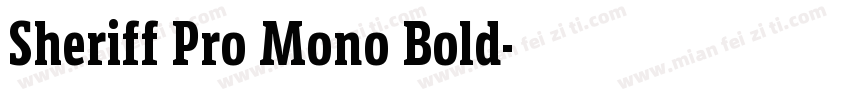 Sheriff Pro Mono Bold字体转换